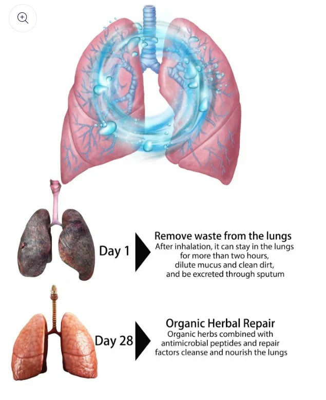 HerbalLung® Spray nasal - Limpia tus pulmones por completo desde el primer uso